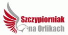 II Turniej Szczypiorniak na Orlikach