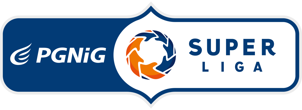 PGNiG Superliga-logo-poziom